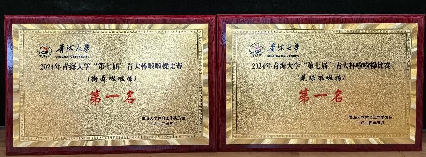 在2024年星空体育官方网站第七届“