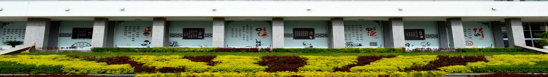 星空体育怎么用成功举办了酒泉市第二季